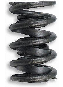 Lunati 1.440" Valve Springs 73949-16LUN