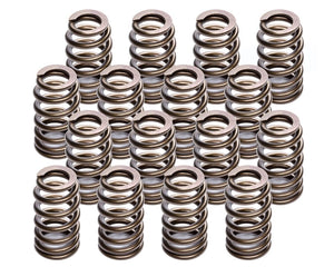 Lunati 1.290" Beehive Valve Springs 74818-16LUN