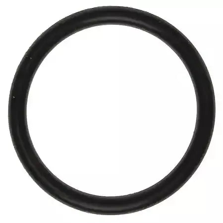 Clevite Oil Filter Adapt O-Ring 20-22 Hemi 6.4L 72119