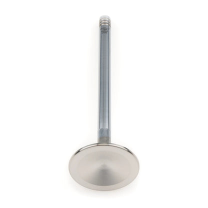 Manley Race Series Exhaust Valve 11695-8