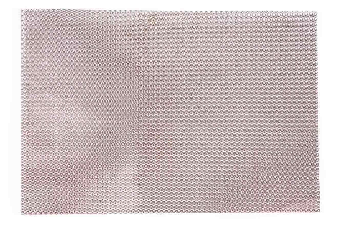 Moroso Uni-Directional Screen 22912