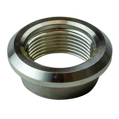 Moroso Female Weld Bung 16AN ORB 68904