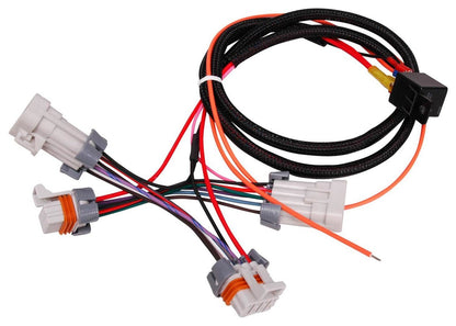 MSD Harness - LS Coil Power Upgrade