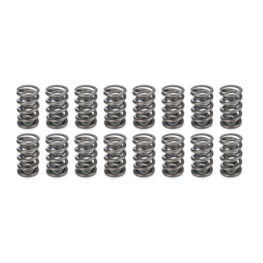 PAC Racing Valve Springs (Set of 16)