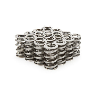 PAC 1.324 Dual Valve Springs - RPM Series (16) PAC-1209X-16