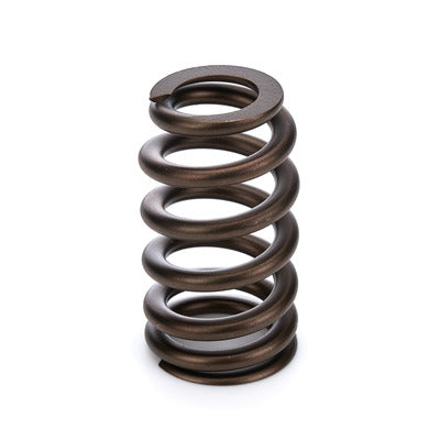 PAC 1.290 Valve Spring - Ovate Beehive PAC-1218