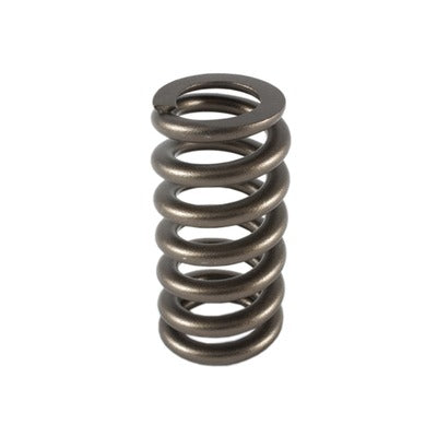 PAC 1.307 Valve Spring - Ovate Beehive PAC-1219
