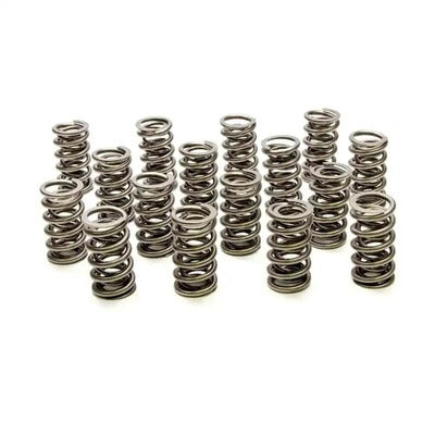 PAC Dual Valve Springs - GM LS (16) PAC-1222X-16