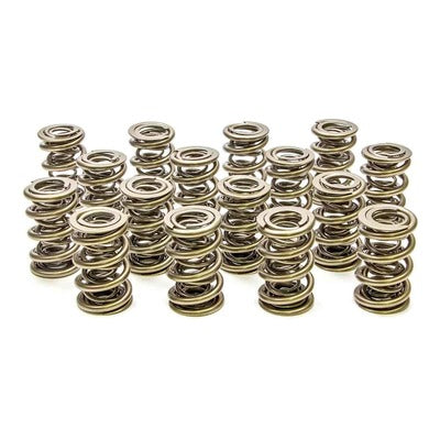 PAC 1.645 Triple Valve Springs (16) PAC-1348-16