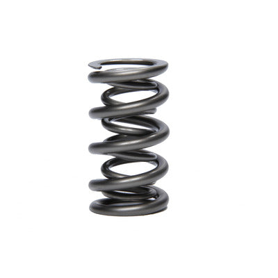 PAC 1.500 Dual Valve Spring PAC-1356