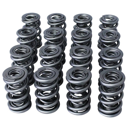 PAC Triple Valve Springs (Set of 16)