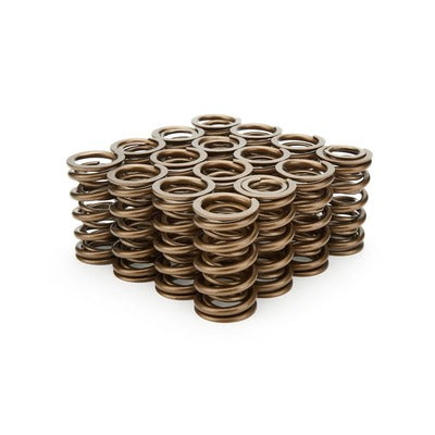 PAC 1.374 Dual Valve Springs (16) PAC-1371-16