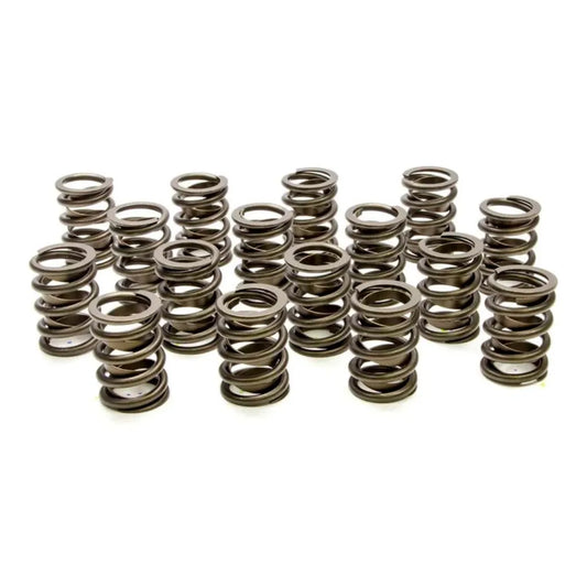PAC Valve Springs - Hot Rod Series (Set of 16) 