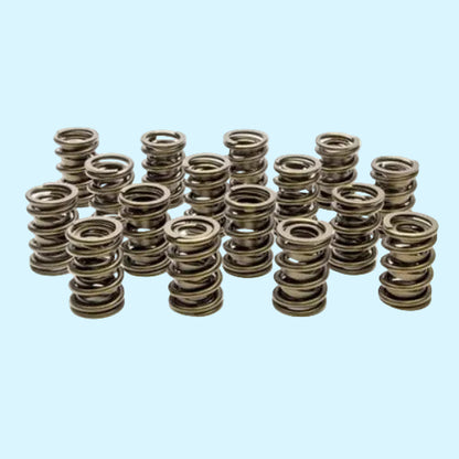 PAC Valve Springs - HR Series (16) PAC-1901-16