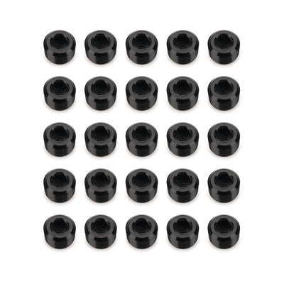 Redhorse 932-02-25-2 1/8in NPT Socket Head Pipe Plug 25/pkg Black