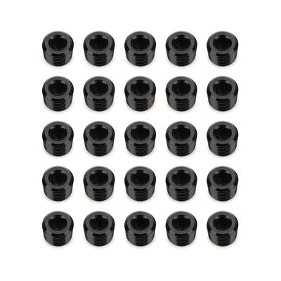 Redhorse 932-04-25-2 1/4in NPT Socket Head Pipe Plug 25/pkg Black