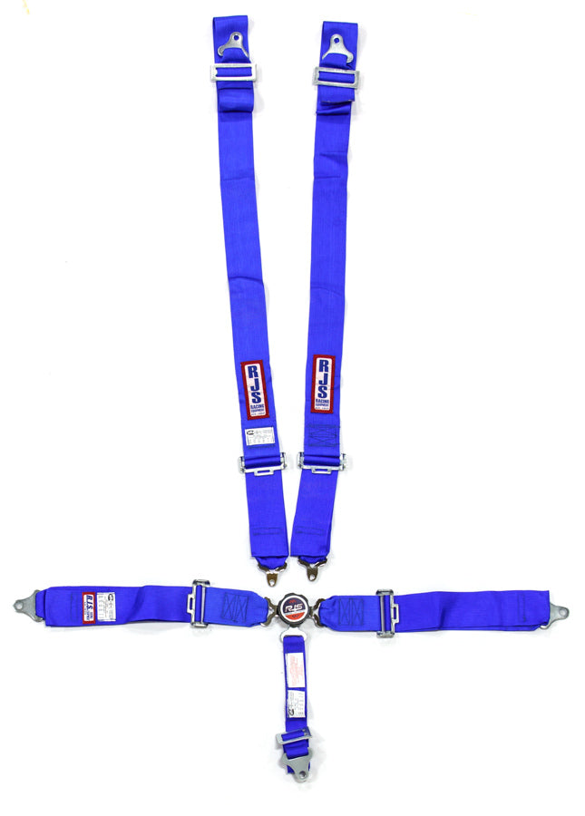 RJS 5-Point Quick-Release Camlock Harness 2" Sub (Blue)