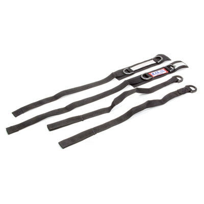 RJS Jr Dragster Arm Restraint
