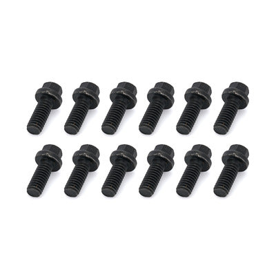 Schoenfeld Bolt 5/16" X 3/4" 