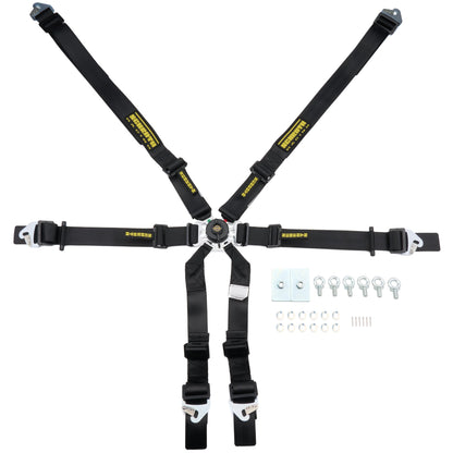 Schroth Flexi 2x2 6pt Harness SR94530-0-31, FIA