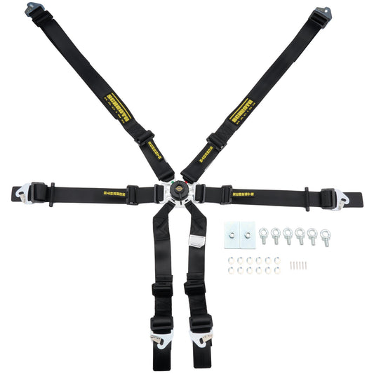 Schroth Flexi 2x2 6pt Harness SR94530-0-31, FIA