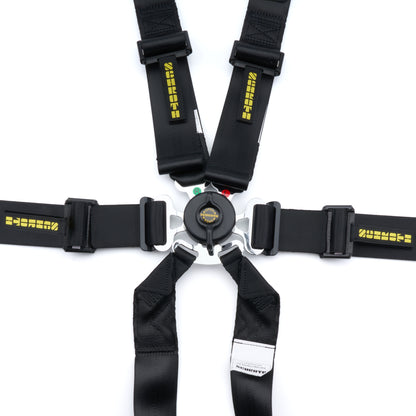 Schroth Flexi 2x2 6pt Harness