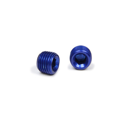 XRP 1/4" Allen Head Pipe Plug (2pk)