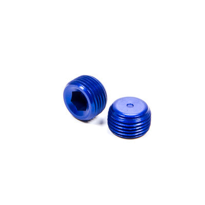 XRP 3/8" Male Pipe Plug (2pk)