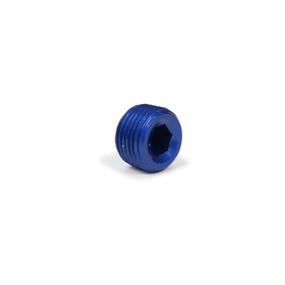 XRP Allen Pipe Plug 1/2"