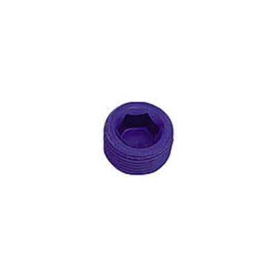 XRP 3/4" Pipe Plug (Allen)
