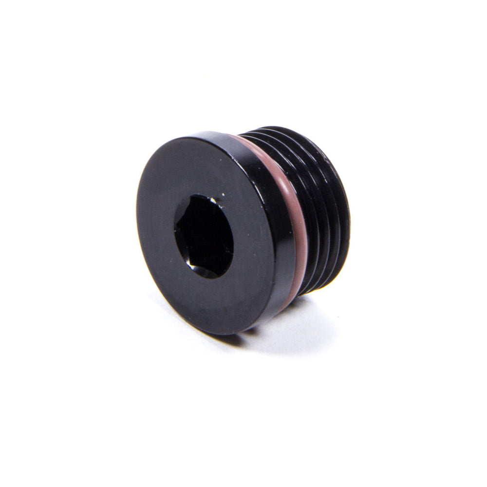 Internal Hex Port Plug with Viton O-Ring