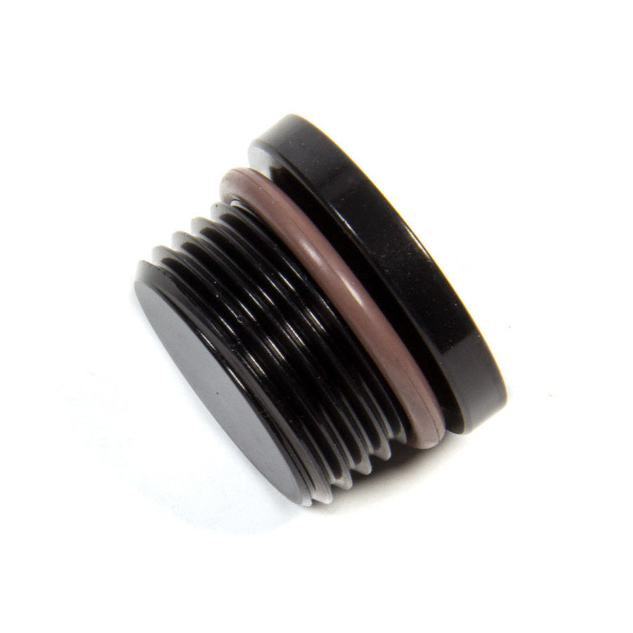Internal Hex Port Plug with Viton O-Ring, -12AN