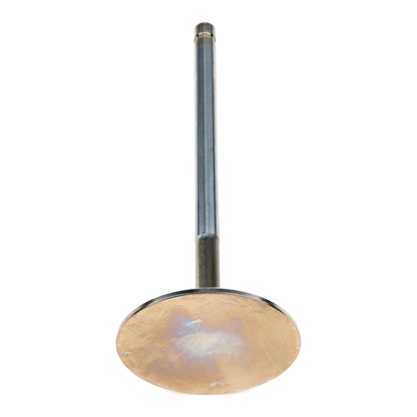 Ferrea Intake Valve