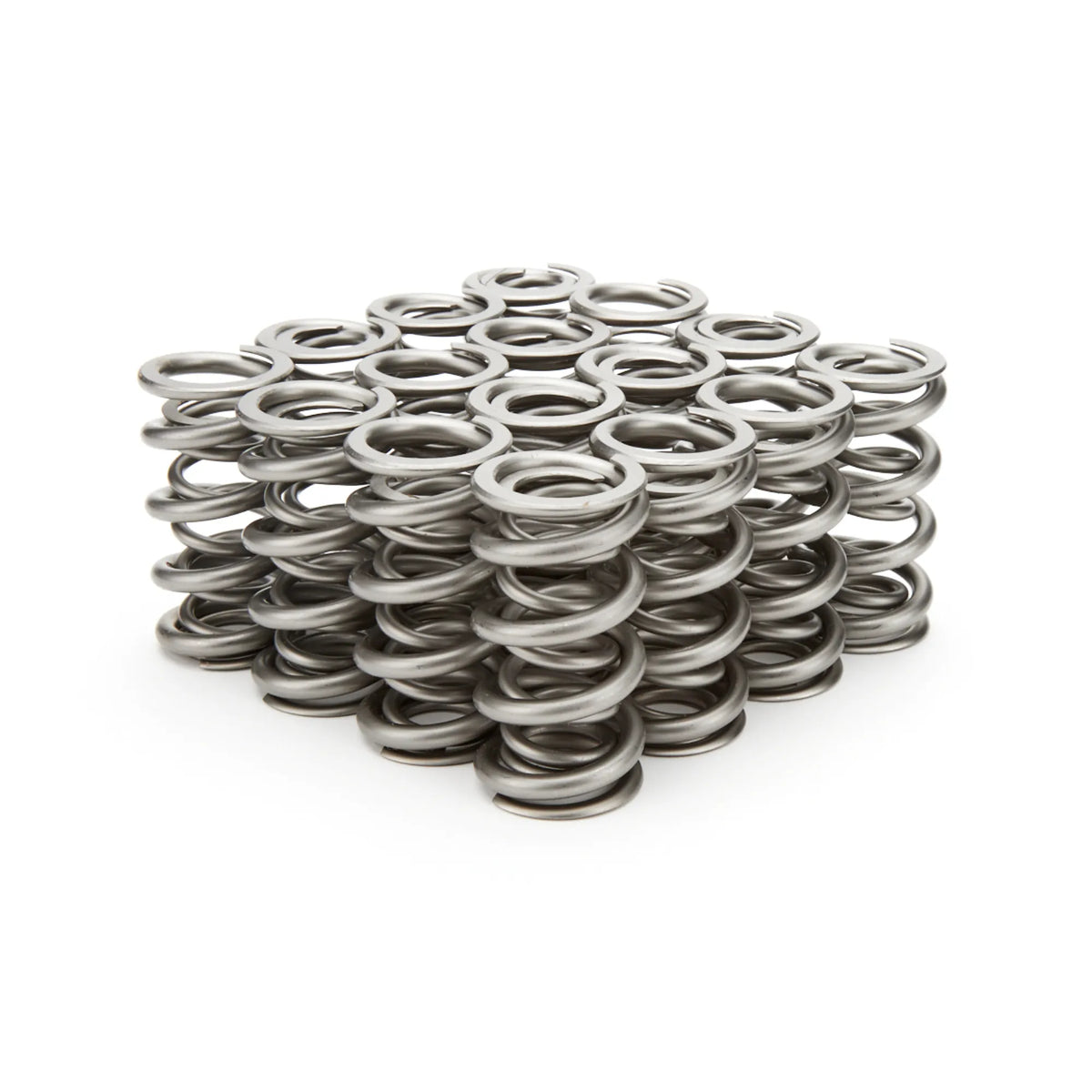 PAC Valve Springs (Set of 16)