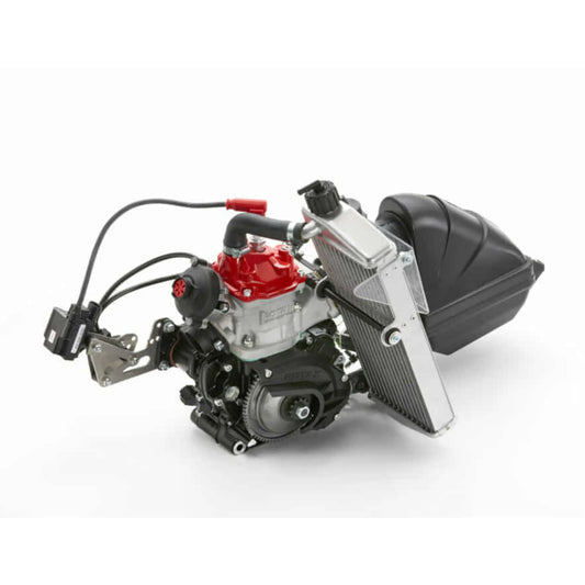 Rotax Max Evo Kart Engine 125cc Senior