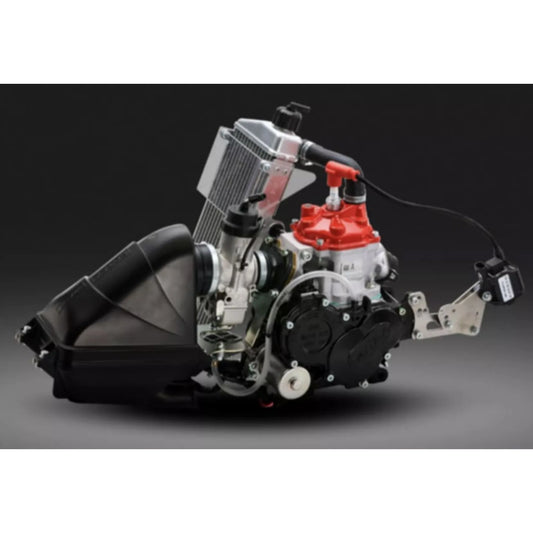 Rotax Max Evo Kart Engine 125cc Junior