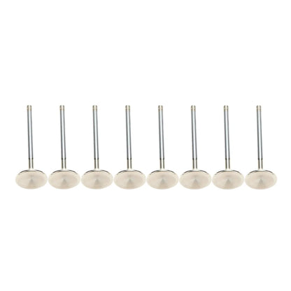Air Flow Exhaust Valves