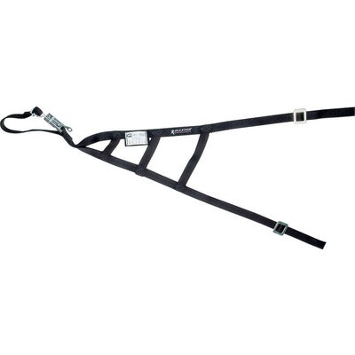 Allstar SFI Triangle Window Net ALL10246