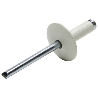 Allstar Large Head Rivet White 250pk