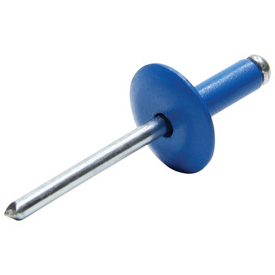 Allstar Large Head Rivet Blue 250pk