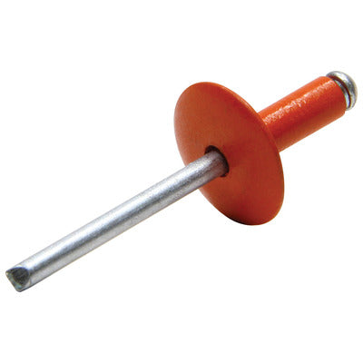 Allstar Large Head Rivet Orange 250pk