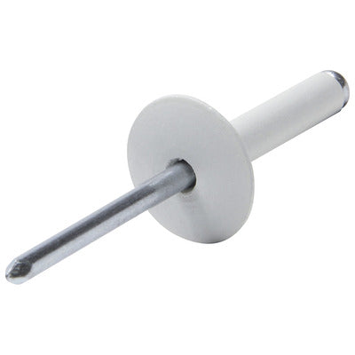 Allstar Large Head Rivet White 250pk