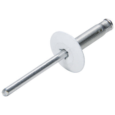Allstar Large Head Rivet 250Pk White Flange Type Alum Mandrel