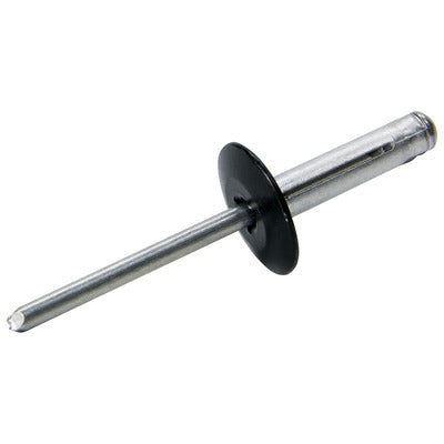 Allstar Large Head Rivet 250Pk Black Flange Type Alum Mandrel