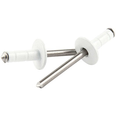 Allstar Medium Head Rivet White 250pk Multi Grip