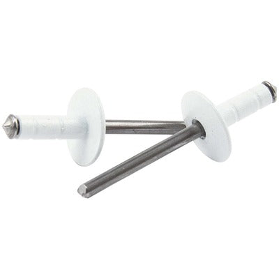 Allstar Large Head Rivet White 250pk Multi Grip