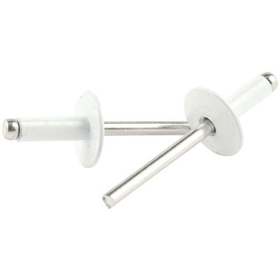 Allstar Large Head Rivet White Alum 250pk