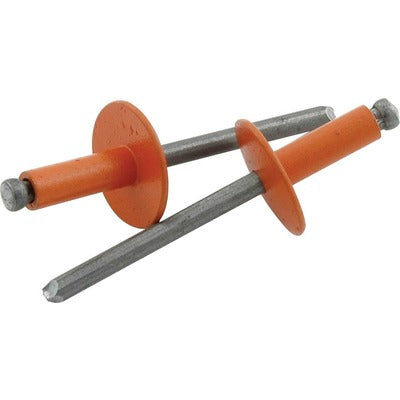 Allstar Large Head Rivet 250Pk Orange