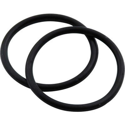Allstar Fuel Filter O-Ring 2pk