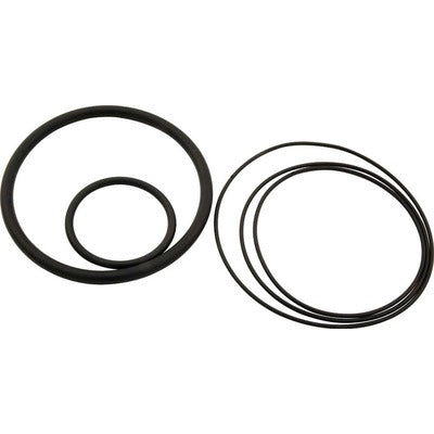 Allstar O-Ring Kit for 64220